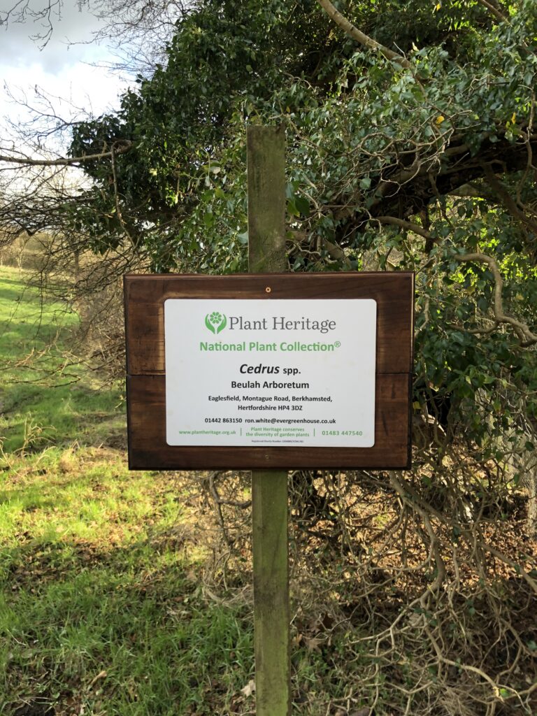 UK National Collection of Cedars plaque at Beulah